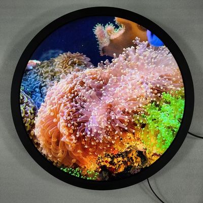 Beli Quad-core Cortex-A53 Round Art Display Standing Digital Signage dan layar sentuh opsional pembuatan online