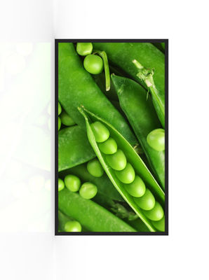 4000nits IP67 Waterproof Outdoor Led Display Panel layar 55 inci ODM