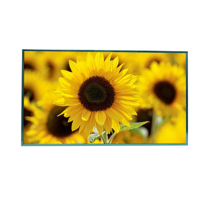 32 Inch Sunlight Readable LCD Screen Monitor Full HD Tampilan 1920x1080
