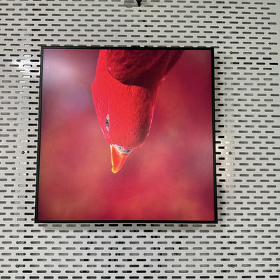 Resolusi 948*948 Square All In One Digital Signage dengan USB HDMI RJ45 Interface